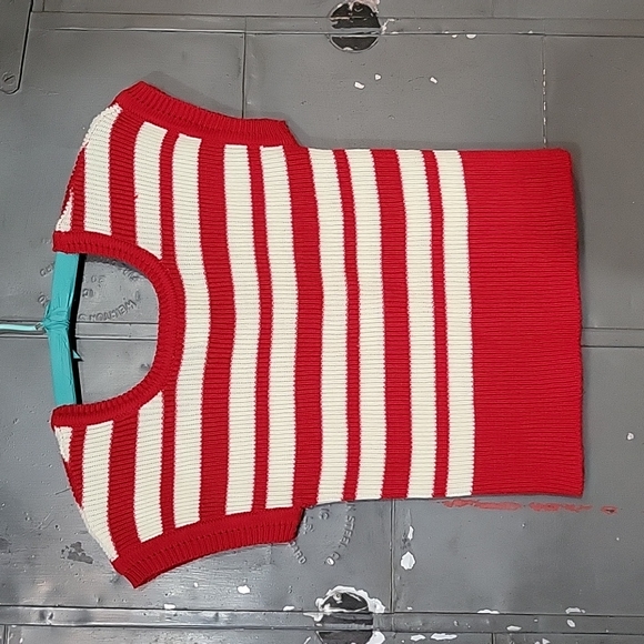 Vintage Striped Sweater Vest - Picture 6 of 7